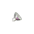 12v 20w Dichroic MR16 Base Bulb
