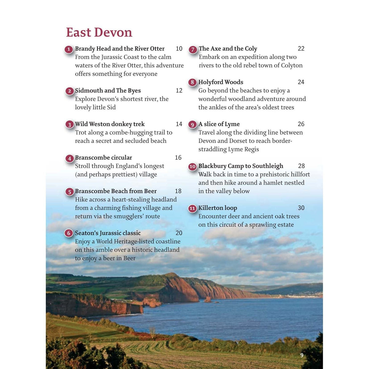 Devon-1.jpg