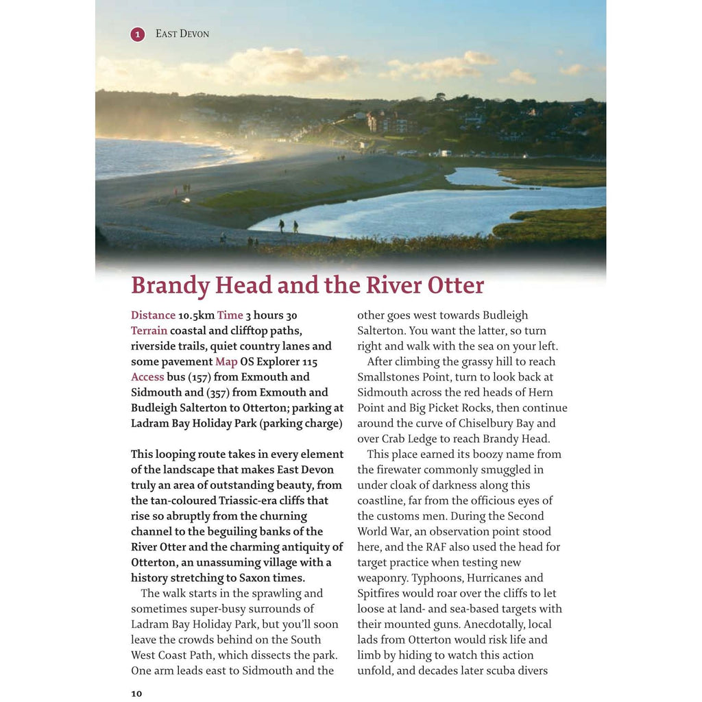 Devon-2.jpg