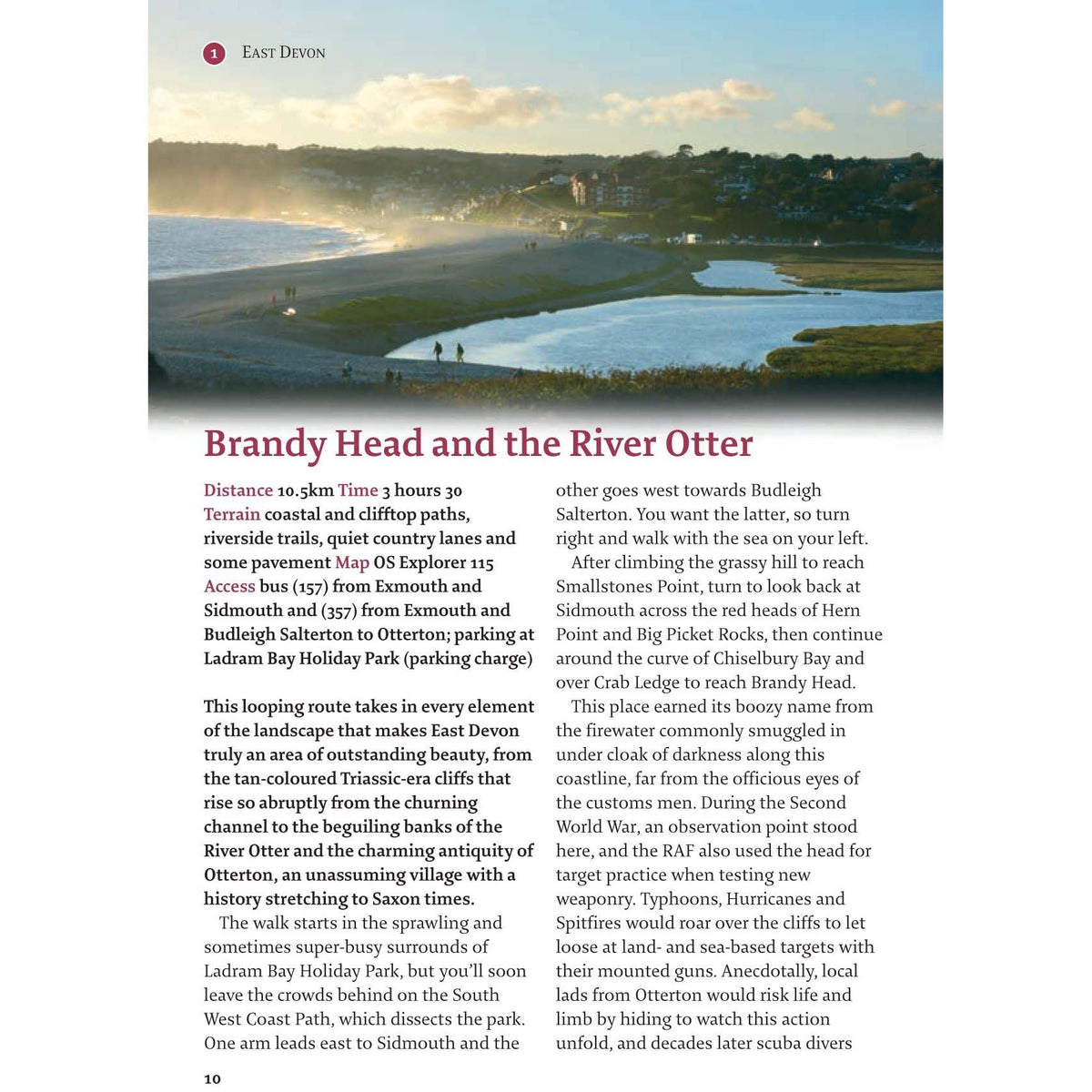 Devon-2.jpg