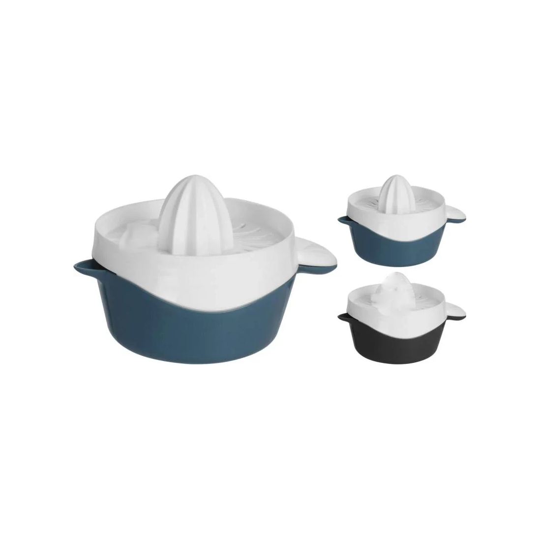 Citrus Fruit Juicer