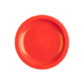 Polyproplene Picnic Plates 25cm