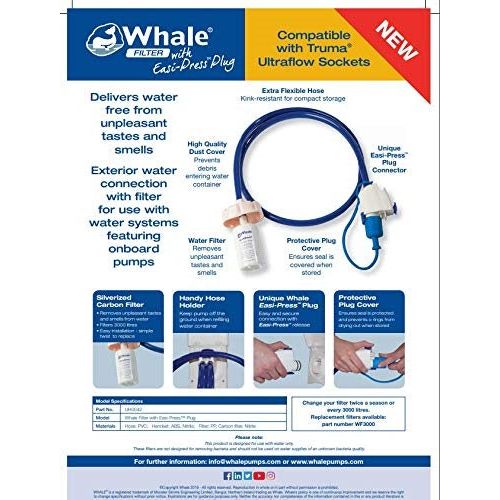 whale uh0042 2.jpg